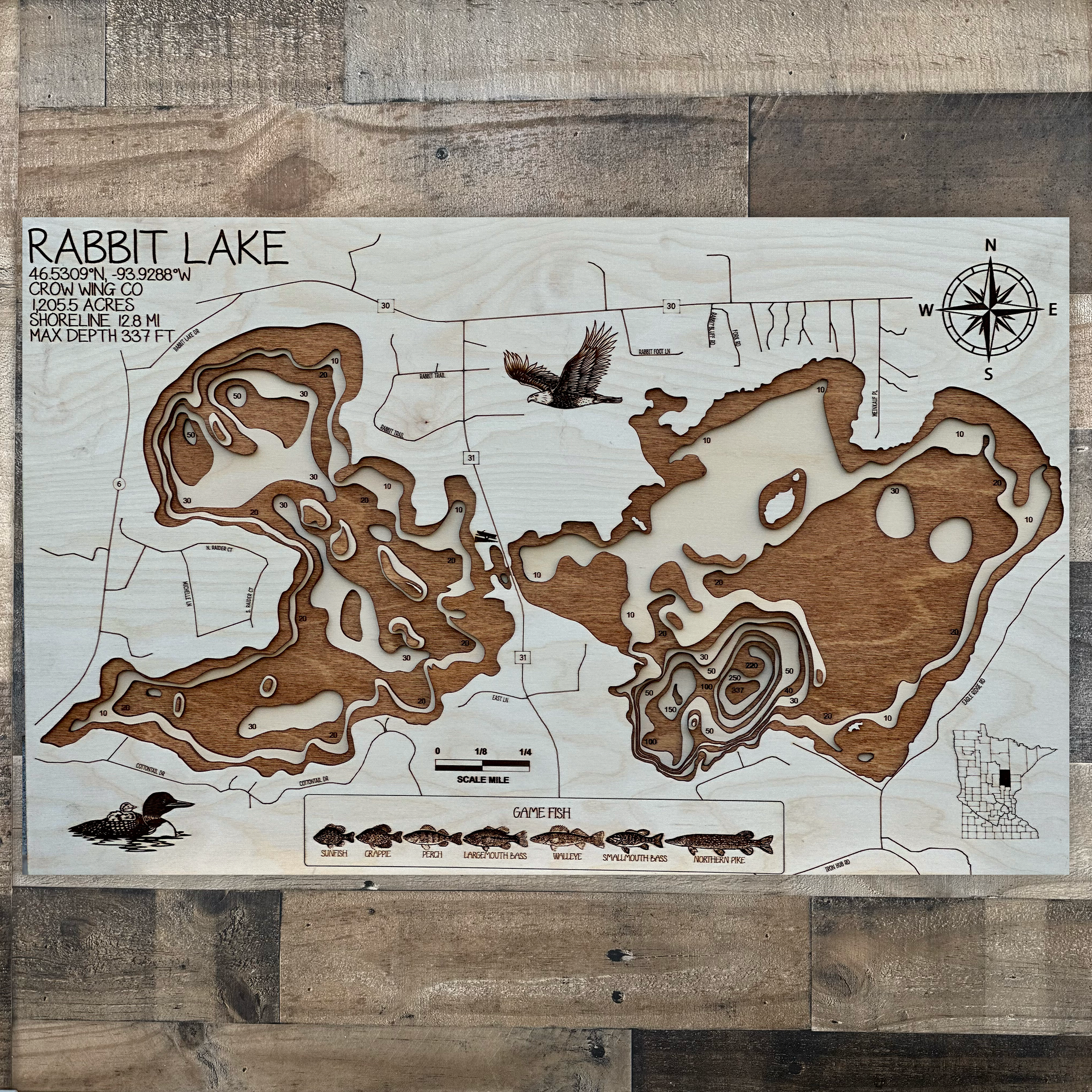 Rabbit Lake Map – Crow Wing County – Minnesota