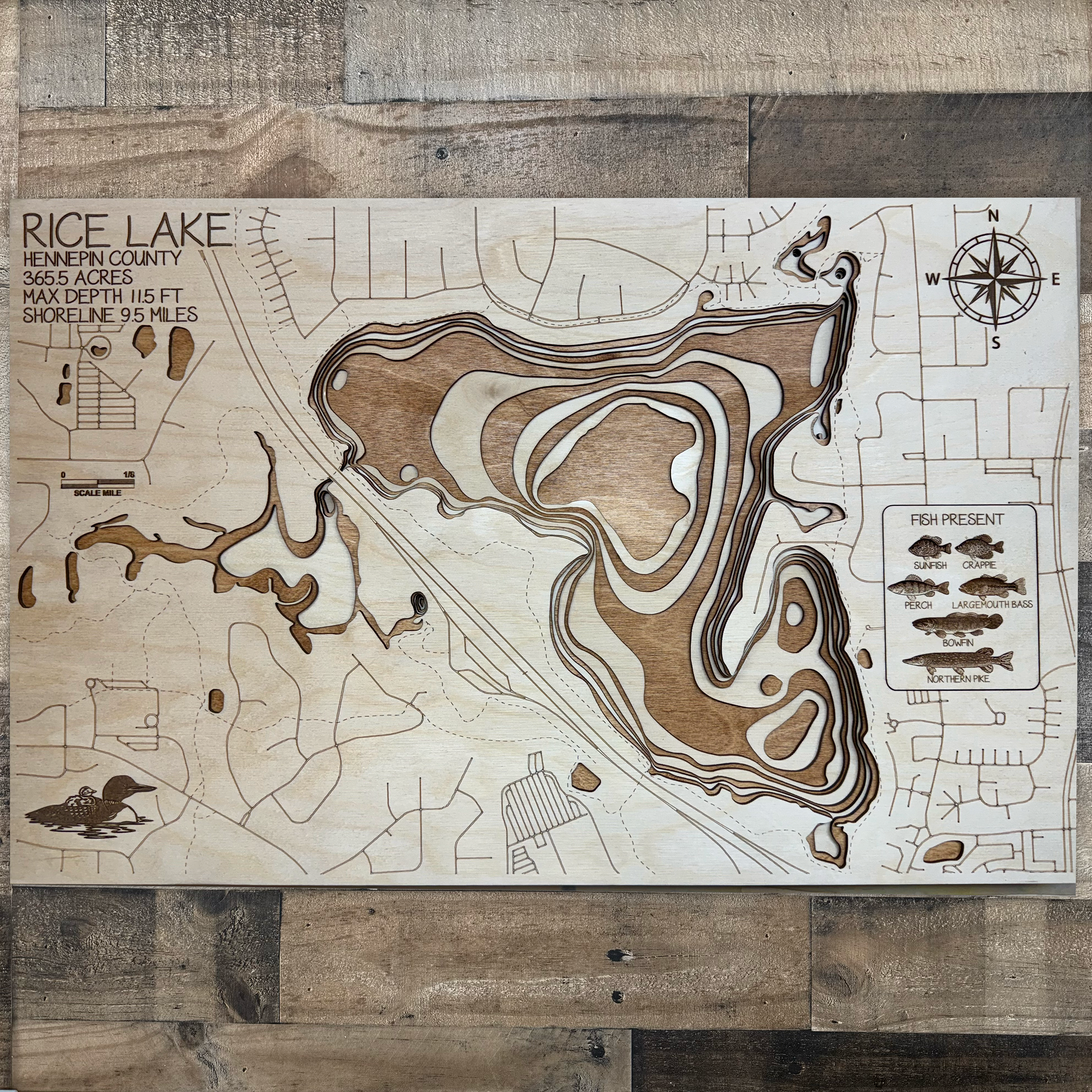 Rice Lake Map – Near Maple Grove – Hennepin County – Minnesota