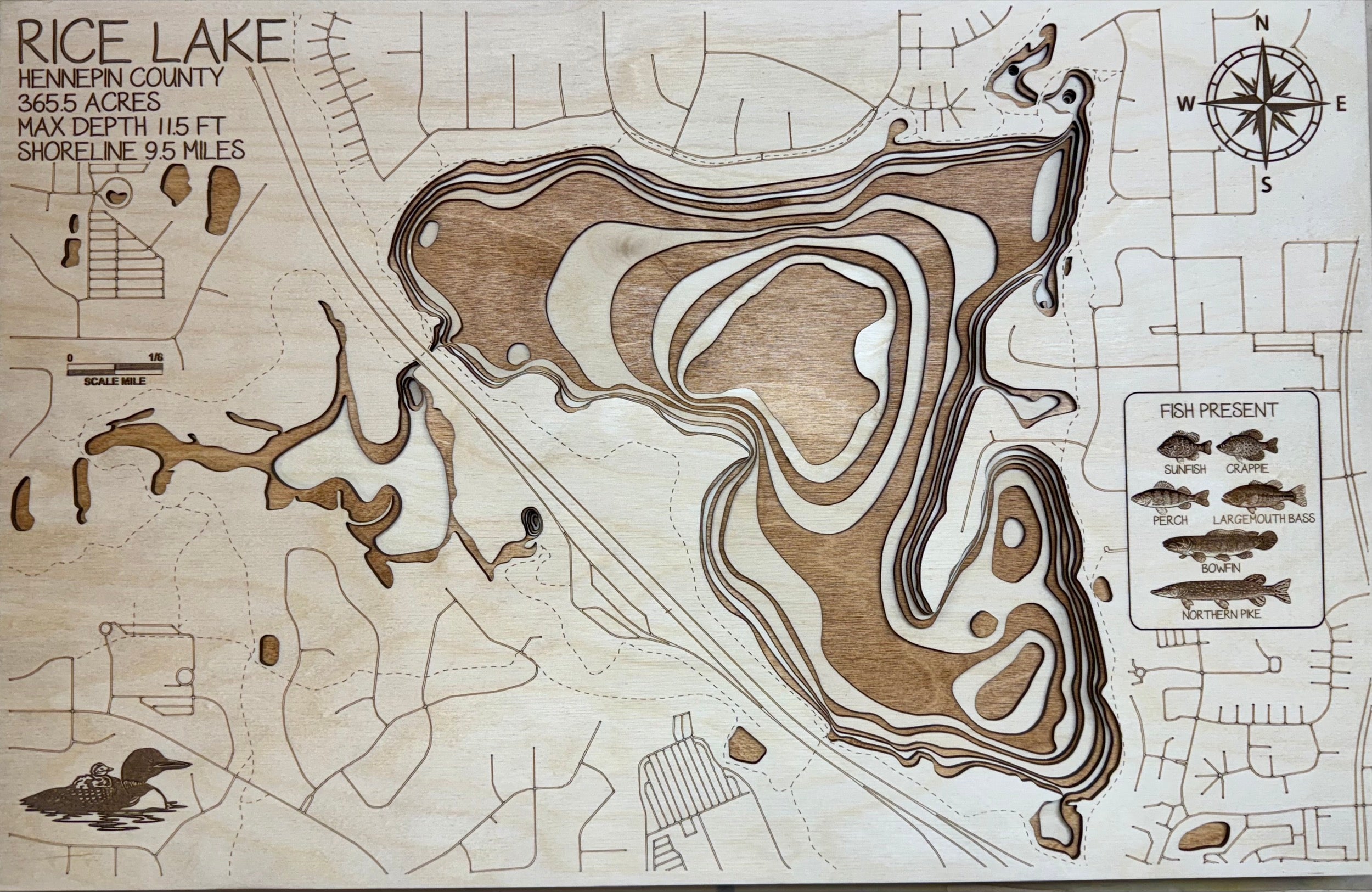 Rice Lake Maple Grove Hennepin County Minnesota laser-cut wood topographic map
