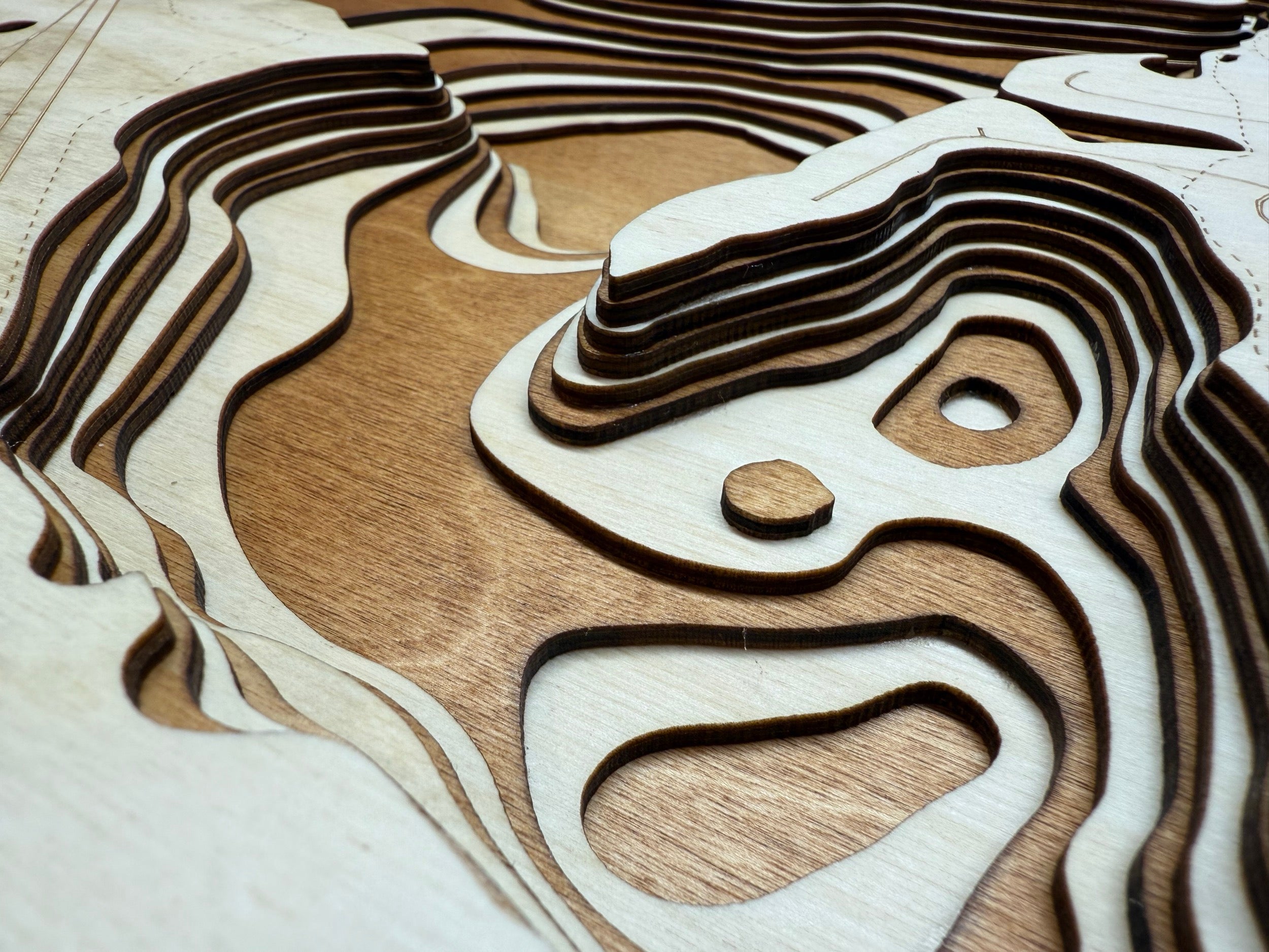 Rice Lake Minnesota wood topographic map detail showing depth contours