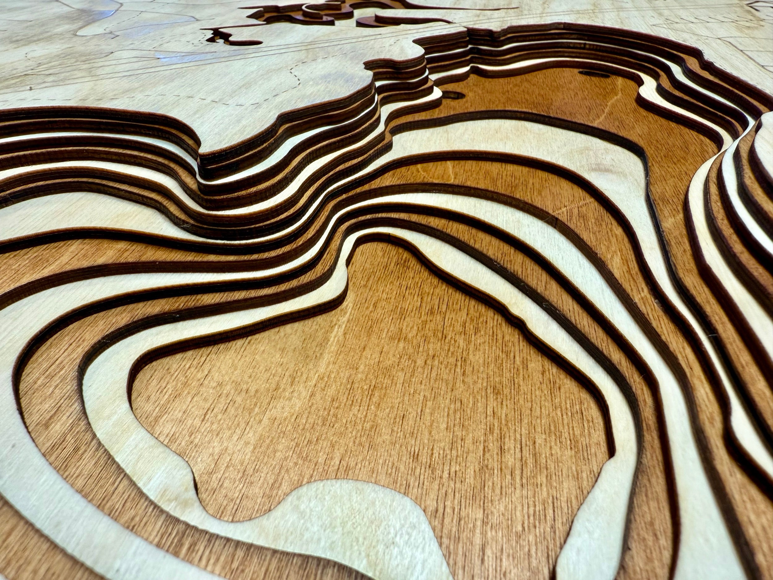 Rice Lake topographic map showing laser-engraved depth contours in wood