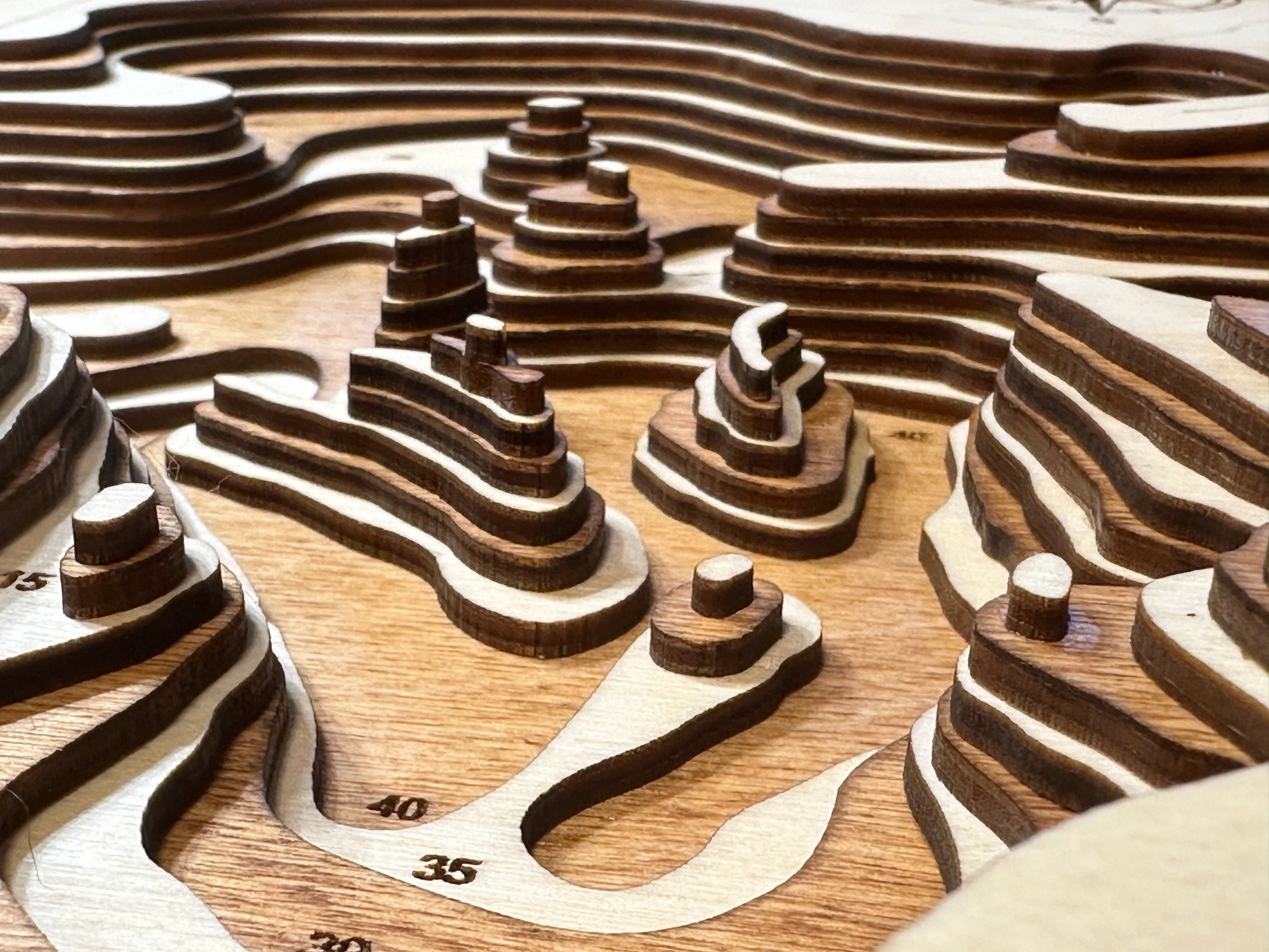 Serpent Lake Minnesota wood topographic map detail with depth contours