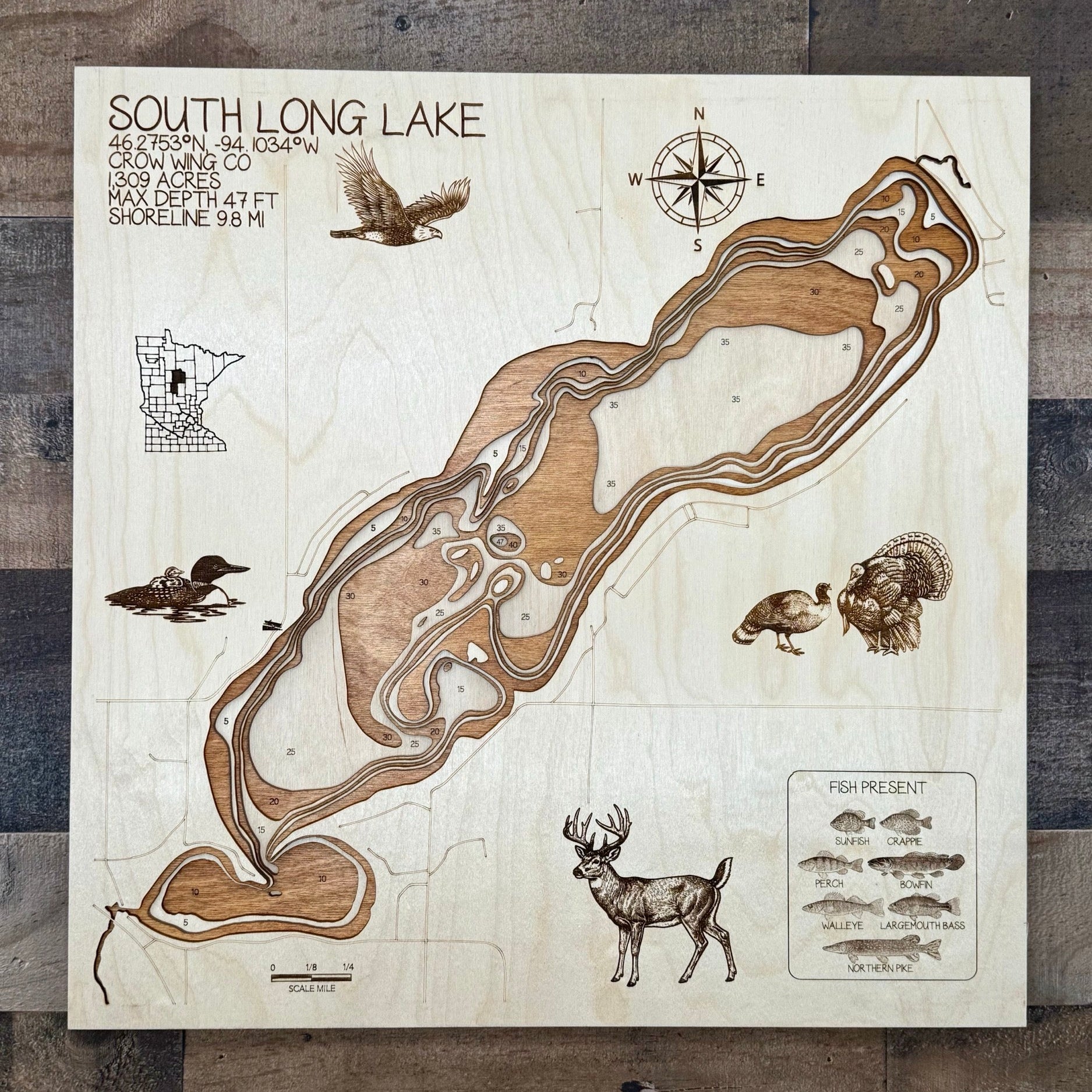 Map of South Long Lake with illustrations of animals on a wooden background
