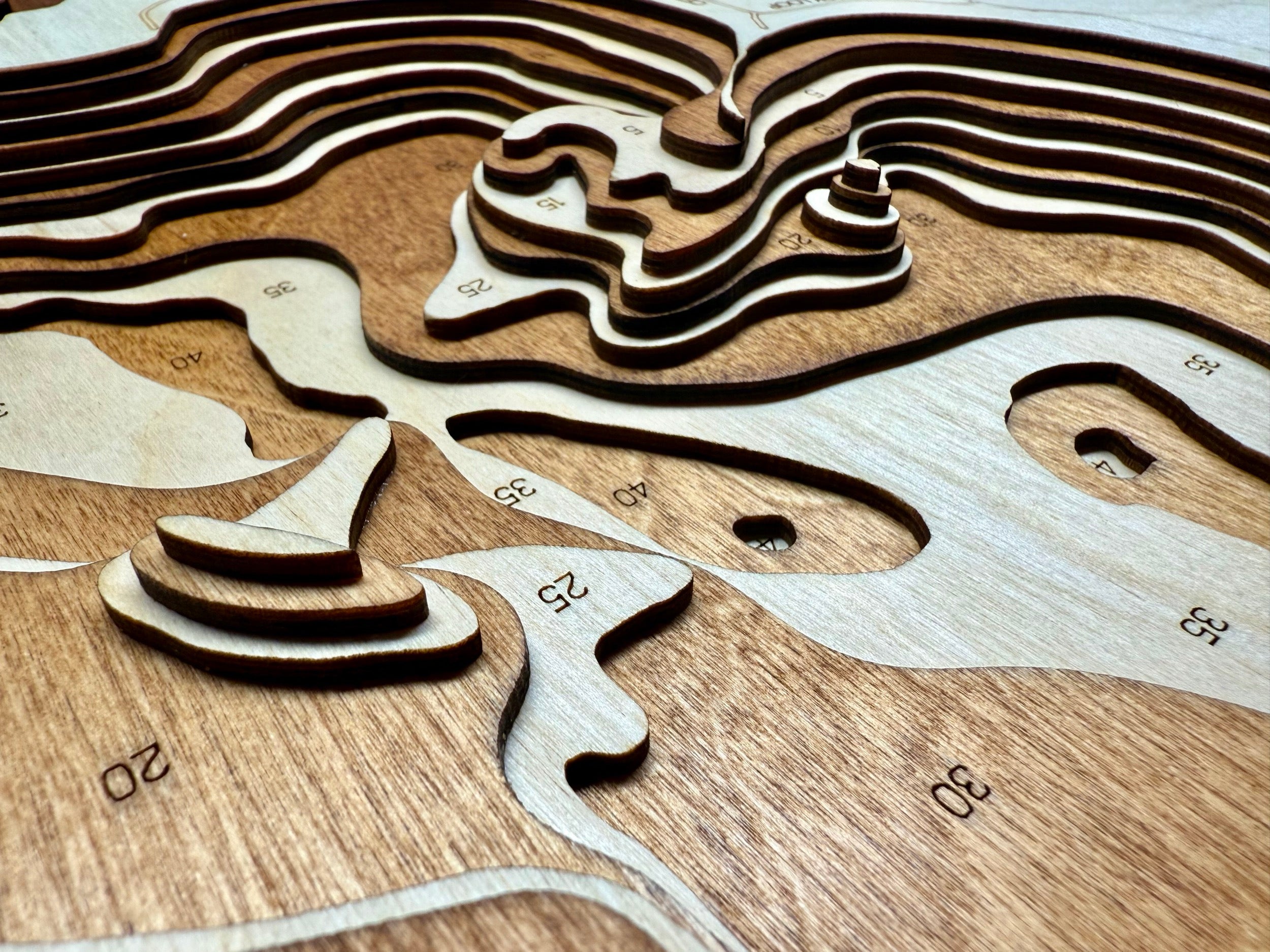 Swan Lake Minnesota wood topographic map detail showing depth contours