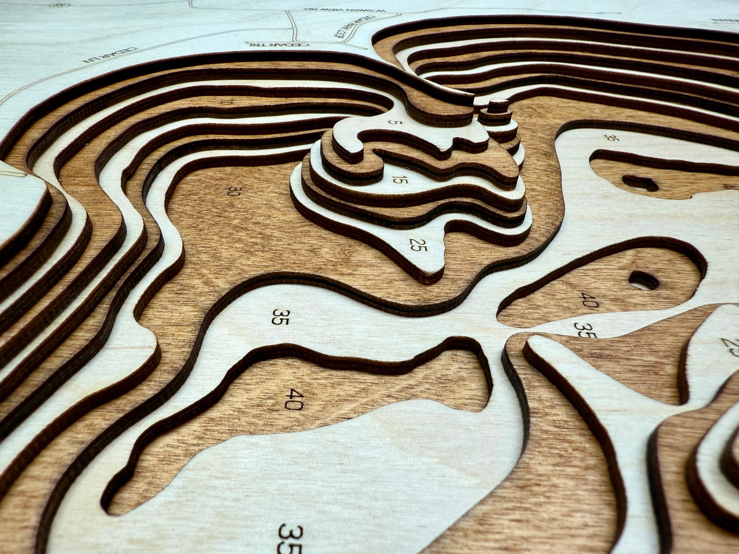 Swan Lake topographic map showing laser-engraved depth contours in wood