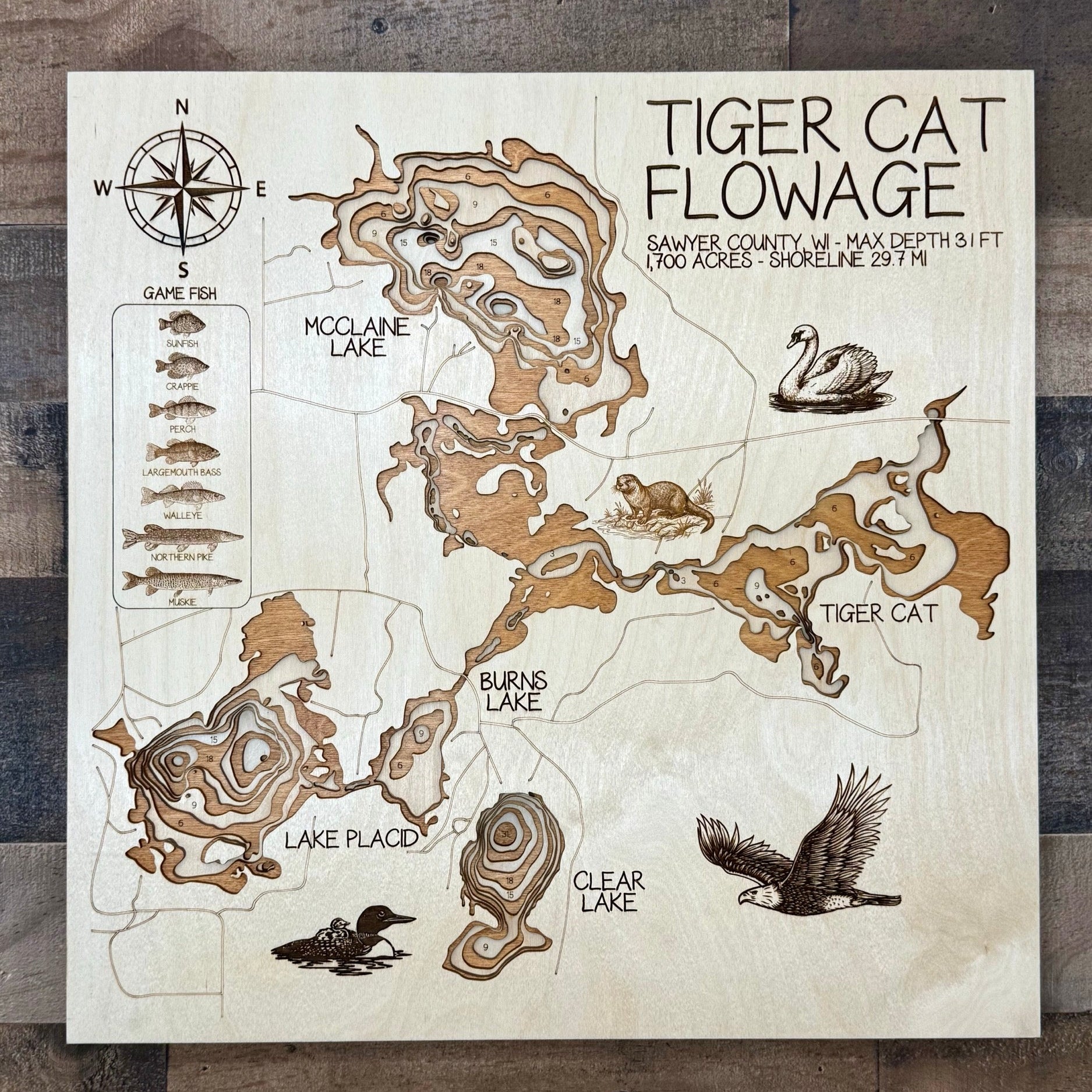 Tigercat Flowage - Sawyer County - Wisconsin