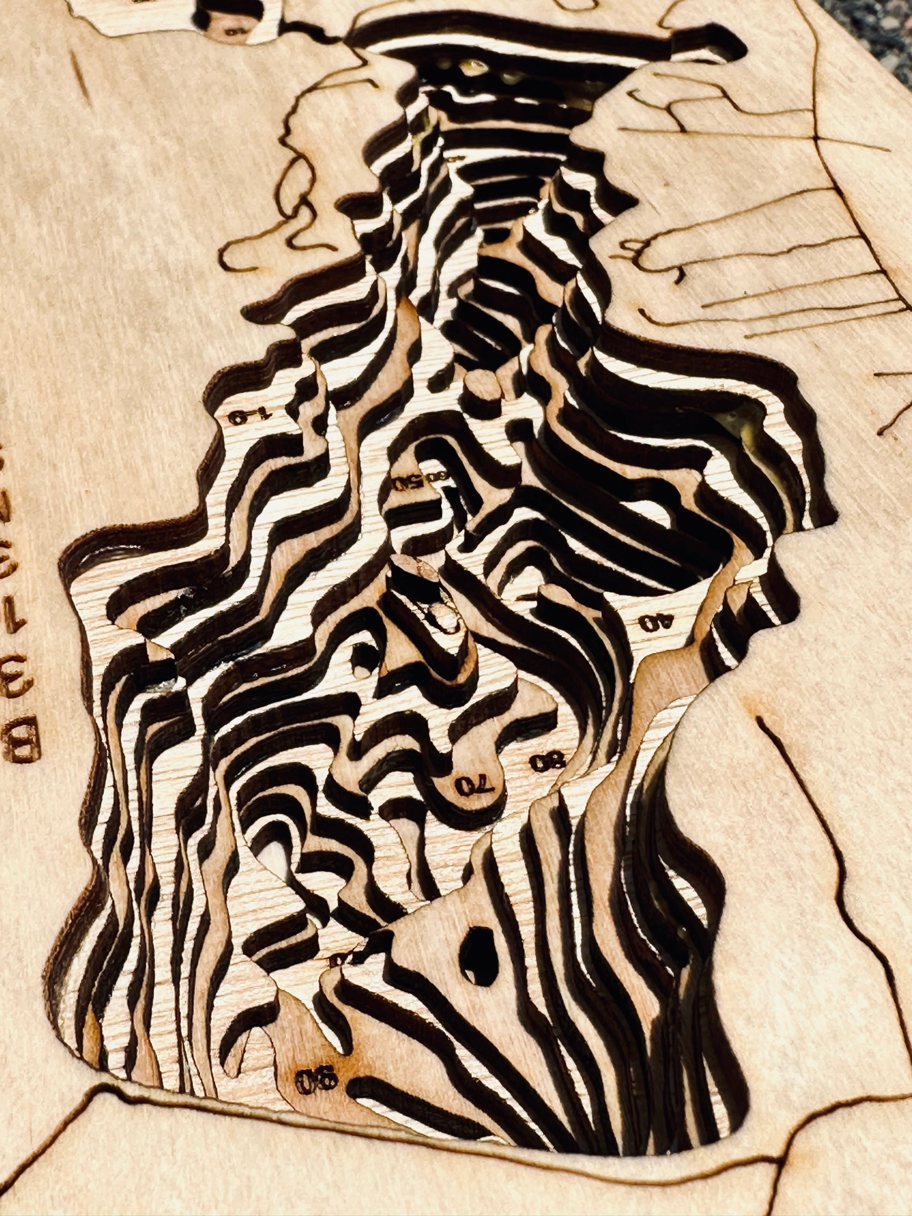Wabana Lake Minnesota wood topographic map detail with depth contours