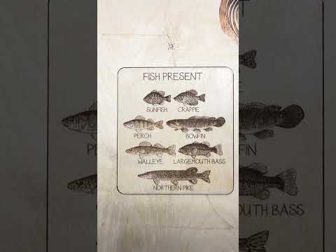 Long Lake depth map detail – layered Baltic Birch, laser cut | Laser Lakes